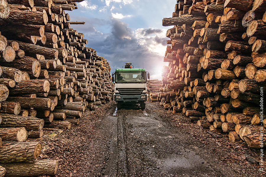 La logistica del legno si basa sul trasporto di legname