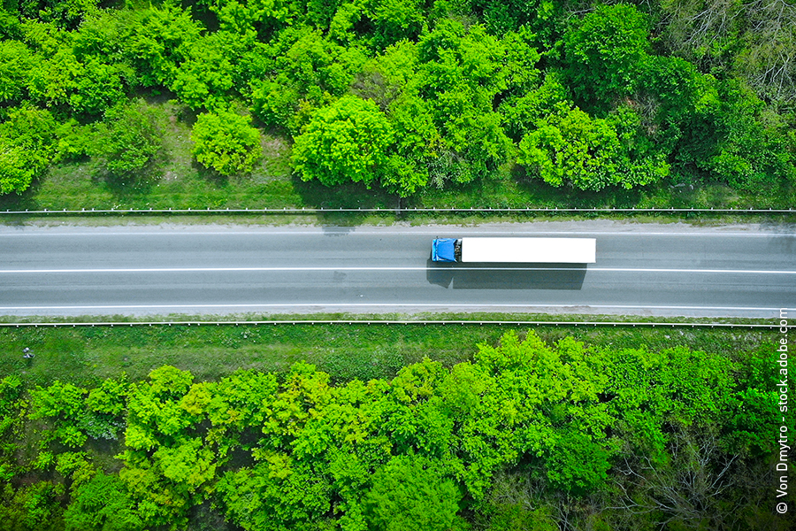 Camion blu e bianco attraversa una foresta verde